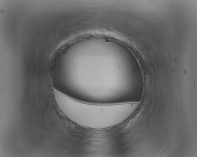 X0000062881494200601131023