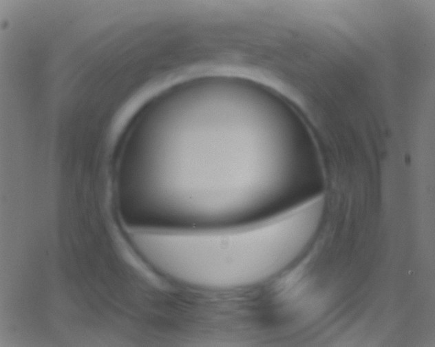 X0000062881511200601131023