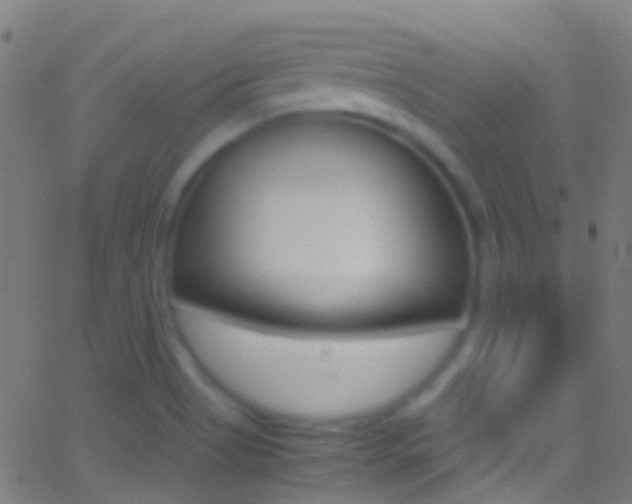 X0000062881513200601131023