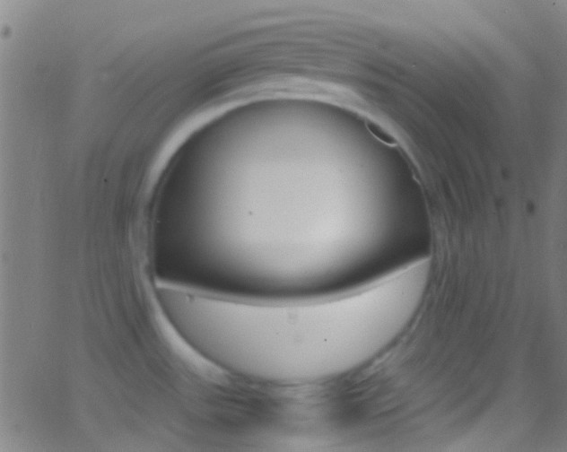 X0000062881531200601131023