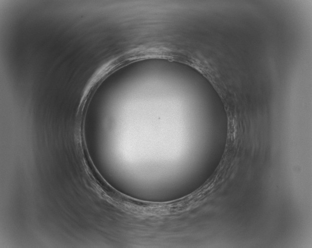 X0000062880004200601131320