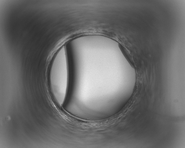 X0000062880005200601131320