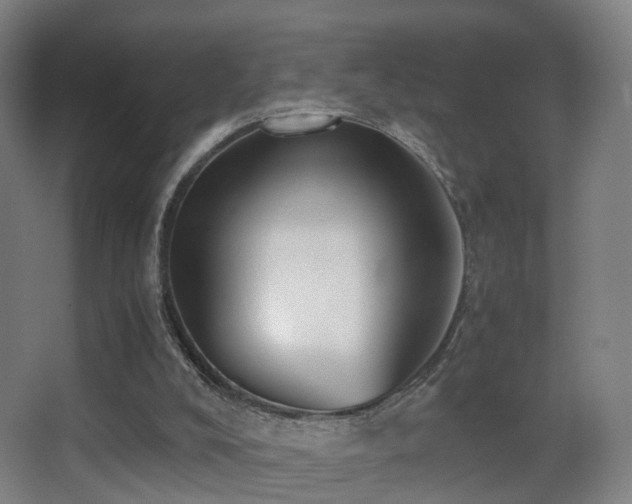 X0000062880008200601131320