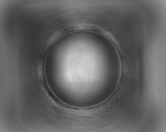 X0000062880010200601131320