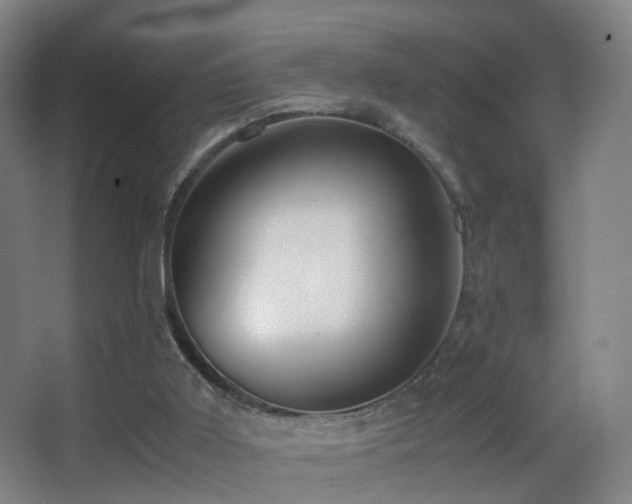 X0000062880011200601131320