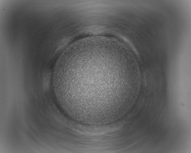 X0000062880018200601131320