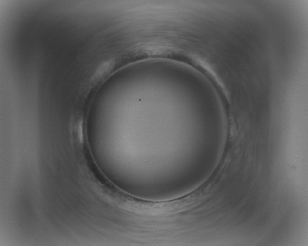 X0000062880019200601131320