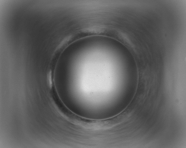 X0000062880020200601131320
