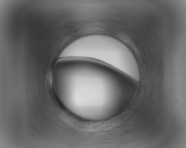 X0000062880021200601131320