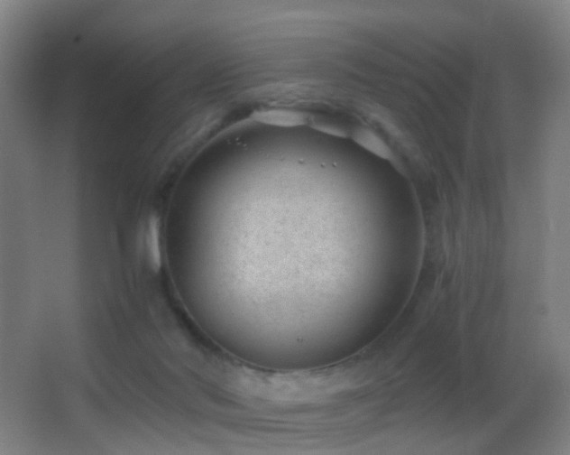 X0000062880022200601131320