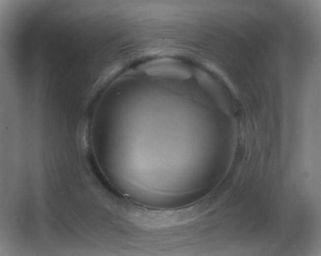 X0000062880023200601131320