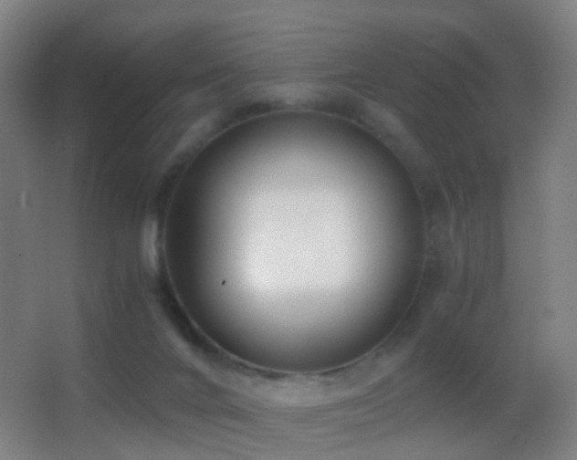 X0000062880024200601131320