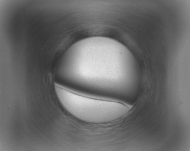 X0000062880025200601131320
