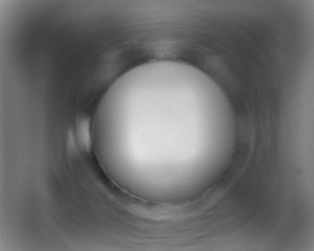 X0000062880028200601131320