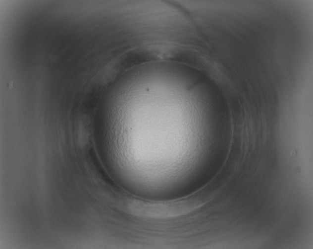 X0000062880030200601131320