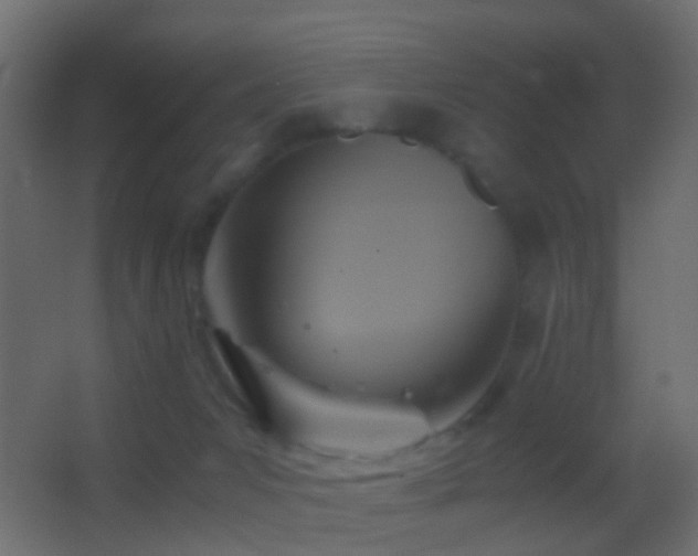 X0000062880031200601131320