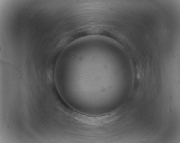 X0000062880035200601131320