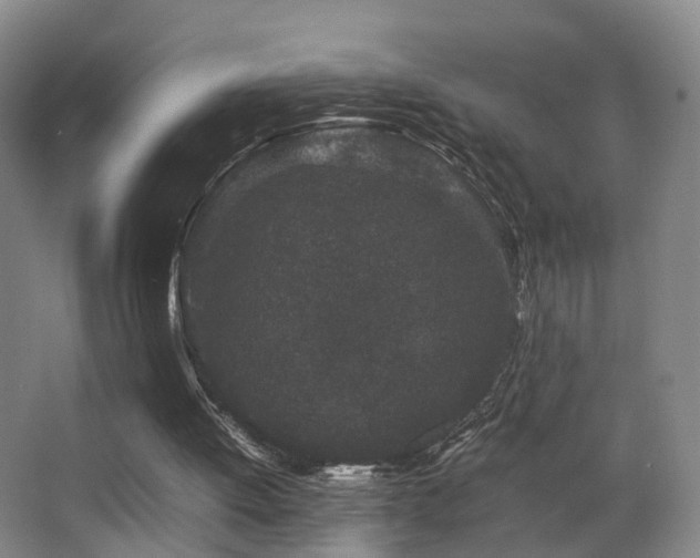 X0000062880052200601131319
