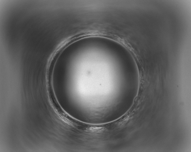 X0000062880055200601131319