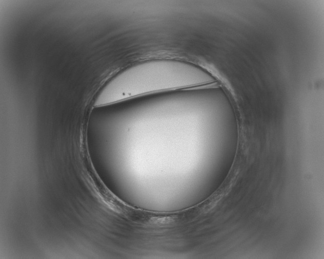 X0000062880057200601131319