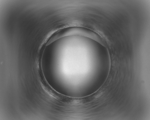 X0000062880060200601131319