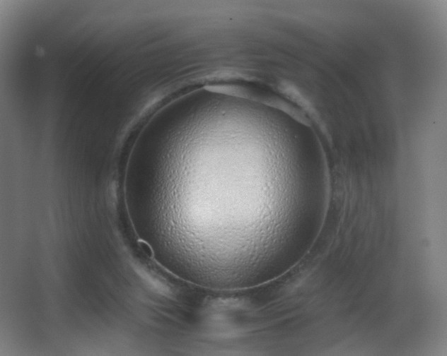 X0000062880063200601131319