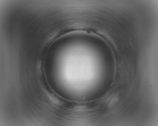 X0000062880066200601131319
