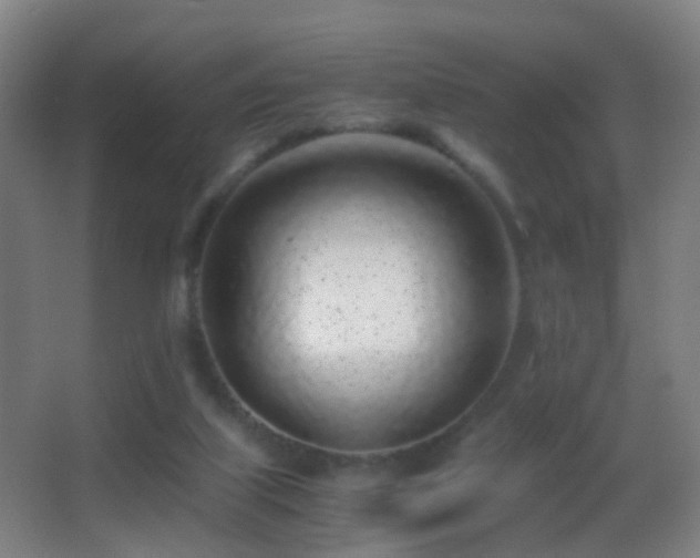 X0000062880067200601131319