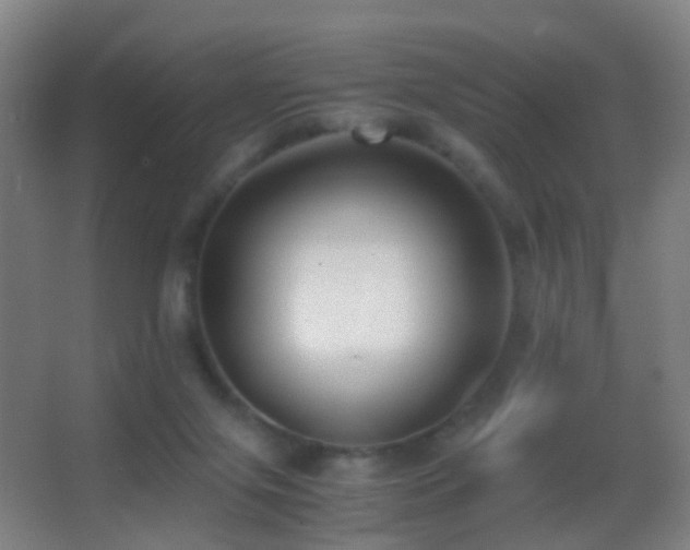 X0000062880071200601131319