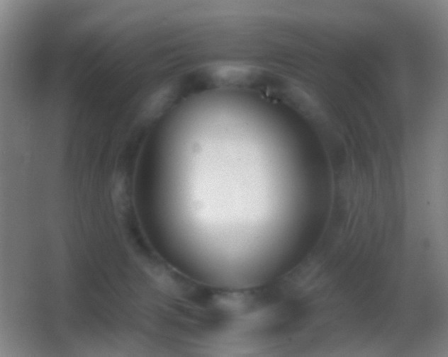 X0000062880079200601131319