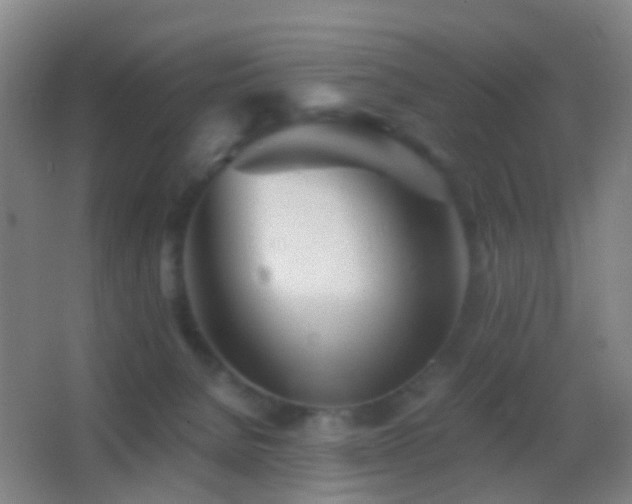 X0000062880080200601131319
