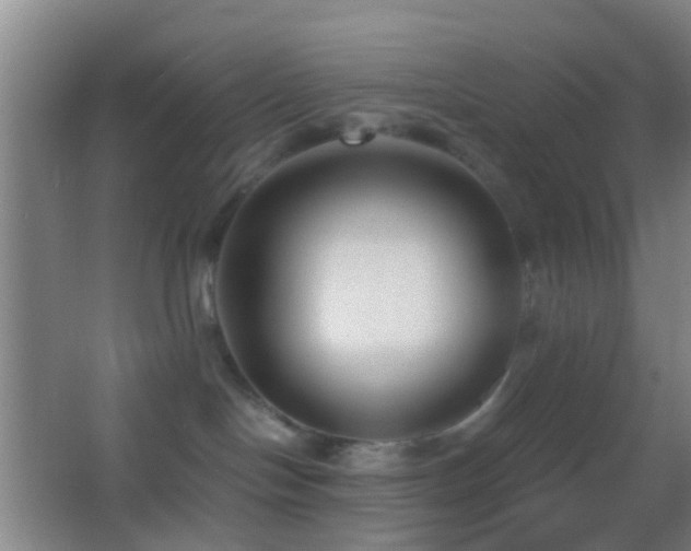 X0000062880094200601131320