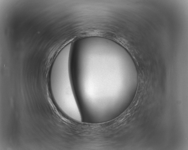 X0000062880097200601131319