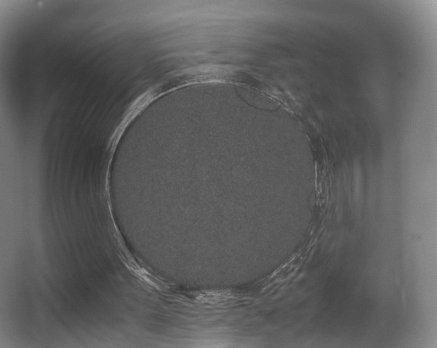 X0000062880099200601131319