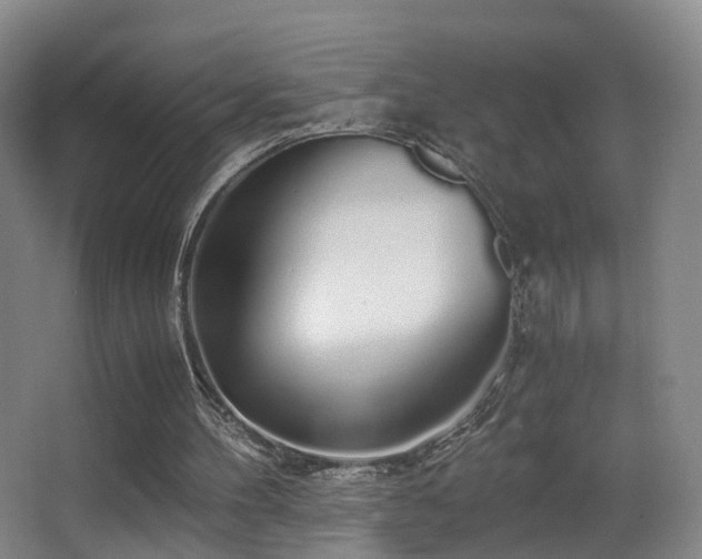 X0000062880100200601131319