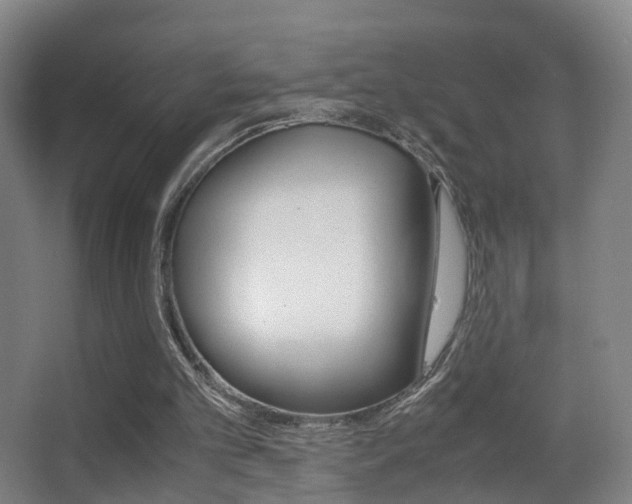 X0000062880101200601131319