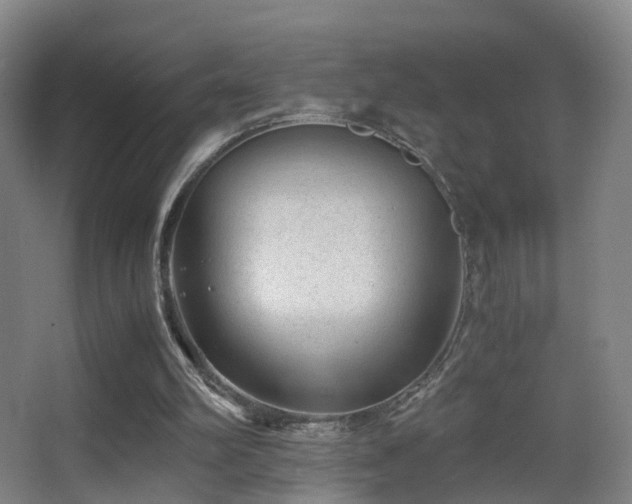 X0000062880102200601131319