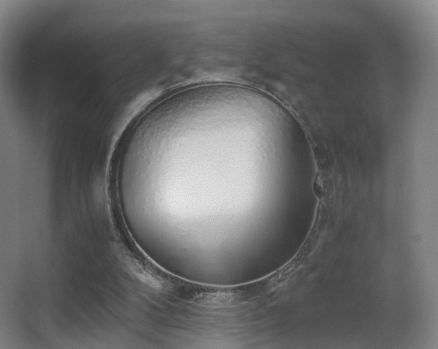 X0000062880104200601131319