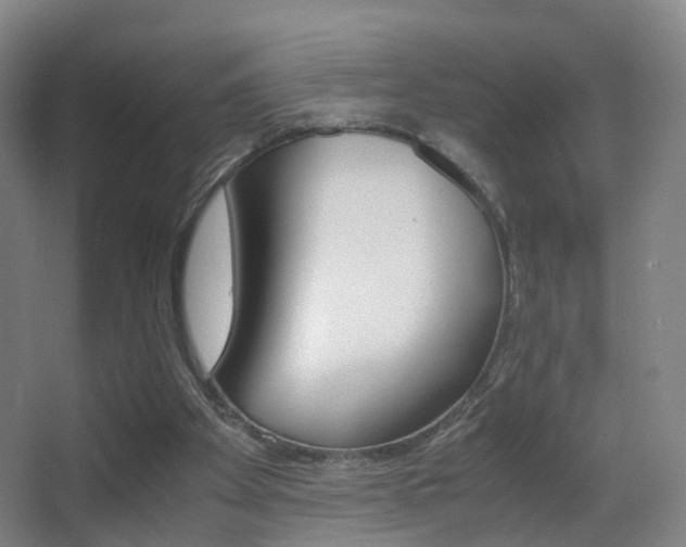 X0000062880105200601131319