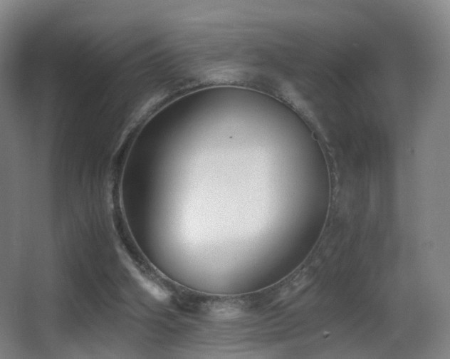 X0000062880106200601131319