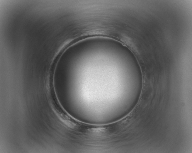 X0000062880108200601131319