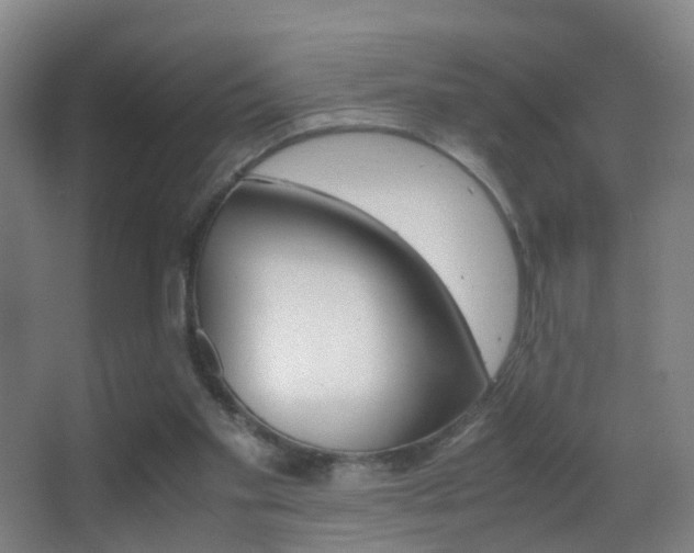 X0000062880109200601131319