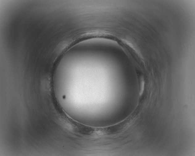 X0000062880111200601131319
