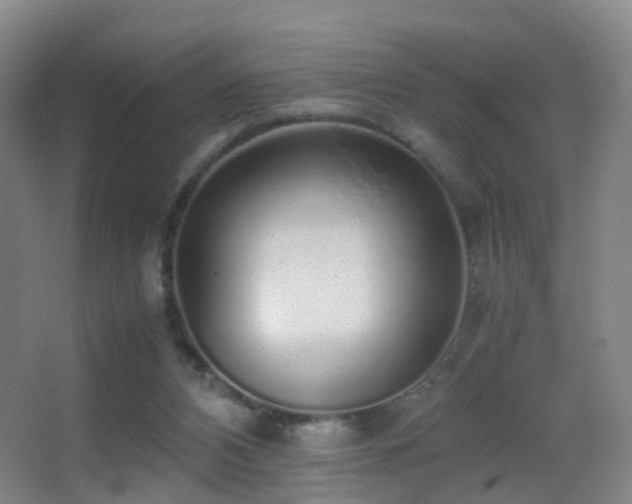 X0000062880112200601131319