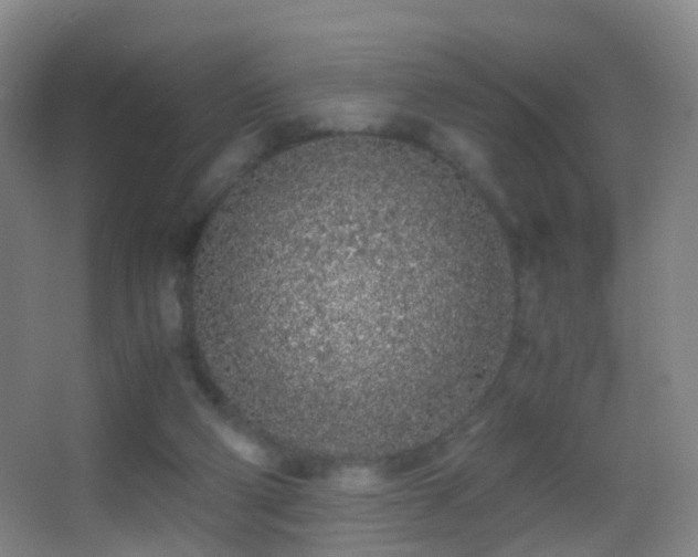X0000062880114200601131319
