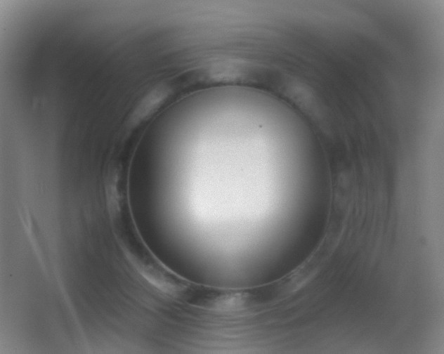 X0000062880116200601131319