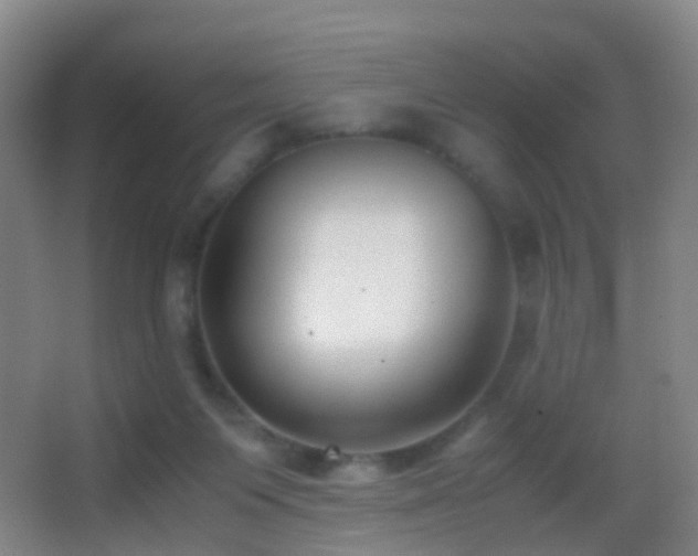 X0000062880119200601131318