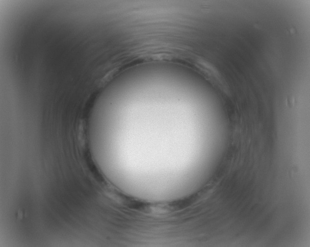 X0000062880121200601131318