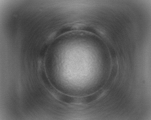 X0000062880127200601131318