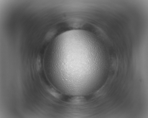 X0000062880128200601131318